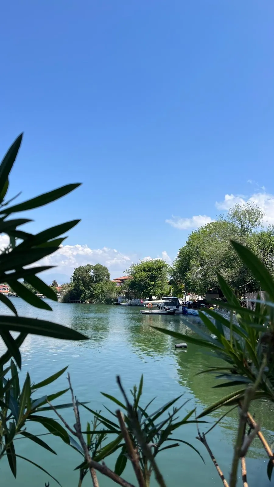 The green Dalyan river in summer, framed by oleander, with a small boat moored at a riverside jetty